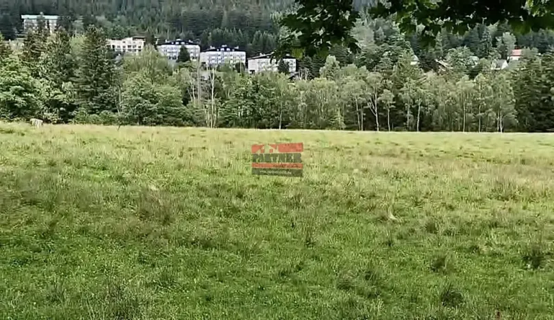Prodej louky, Železná Ruda, 1110 m2