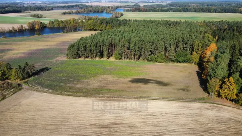 Prodej pole, Řípec, 49992 m2