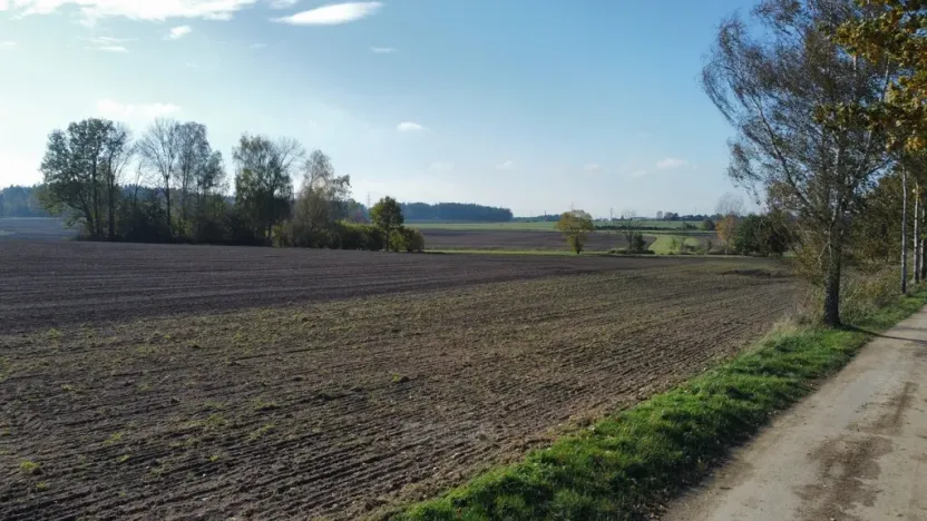 Prodej pole, Řípec, 49992 m2