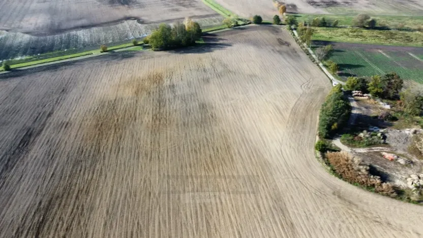 Prodej pole, Řípec, 49992 m2