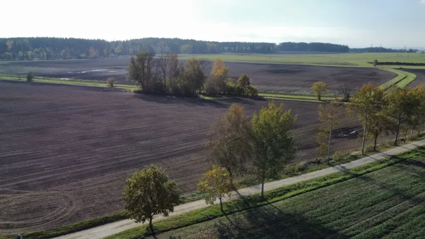 Prodej pole, Řípec, 49992 m2