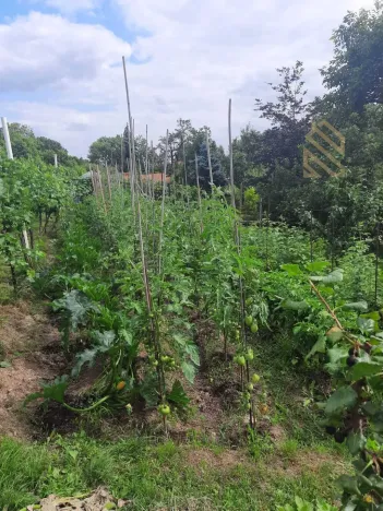 Prodej pozemku pro bydlení, Velké Žernoseky, 4490 m2