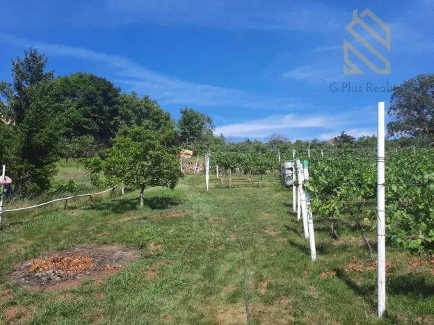 Prodej pozemku pro bydlení, Velké Žernoseky, 4490 m2