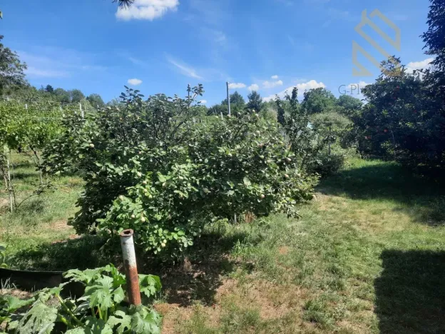 Prodej pozemku pro bydlení, Velké Žernoseky, 4490 m2