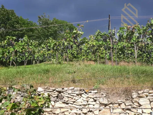 Prodej pozemku pro bydlení, Velké Žernoseky, 4490 m2