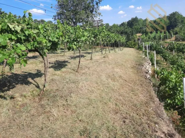 Prodej pozemku pro bydlení, Velké Žernoseky, 4490 m2