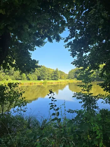 Prodej pozemku pro bydlení, Hamr na Jezeře, 2786 m2