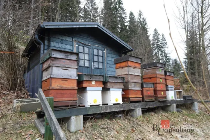 Prodej ubytování, Desná - Desná III, Polubenská, 640 m2