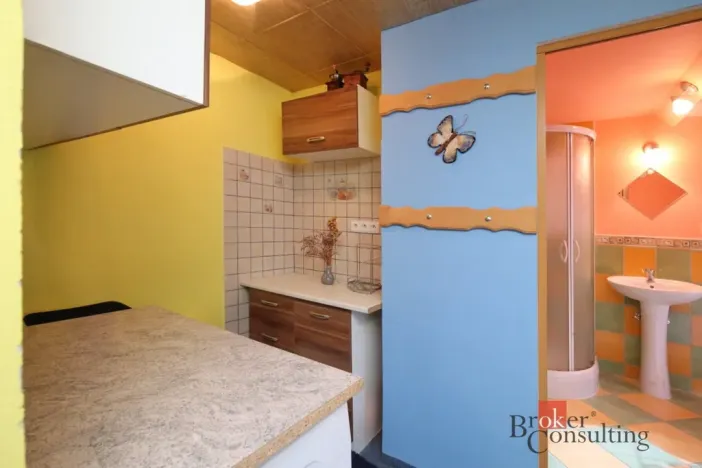 Prodej ubytování, Desná - Desná III, Polubenská, 640 m2