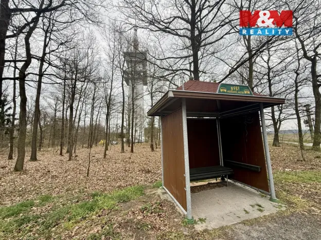 Prodej lesa, Býšť, 3807 m2