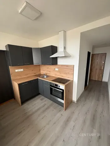 Pronájem bytu 3+1, Most, Brněnská, 69 m2