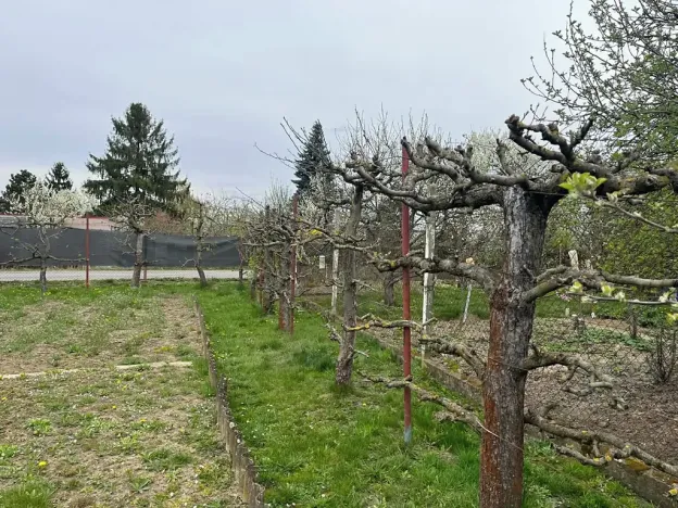 Prodej chaty, Přerov, 27 m2