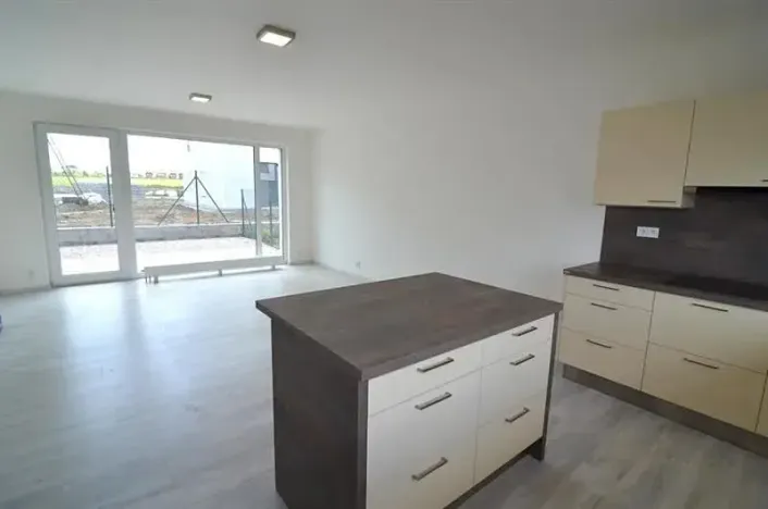 Pronájem rodinného domu, Vestec, Erbenova, 140 m2