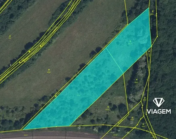Prodej pole, Černovice, 10689 m2
