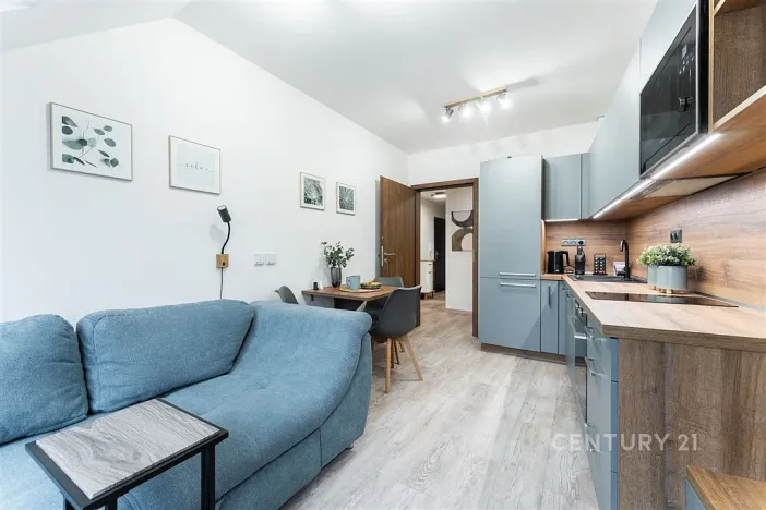 Pronájem bytu 2+kk, Praha, Plzeňská, 43 m2