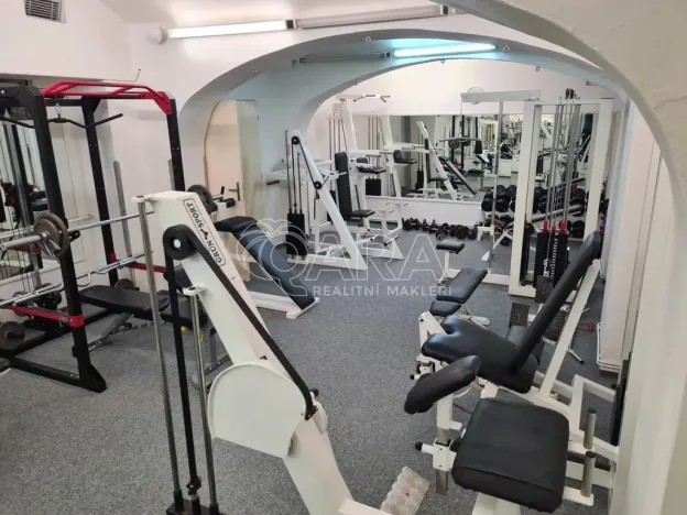 Pronájem komerční nemovitosti, Praha - Vinohrady, Vinohradská, 78 m2