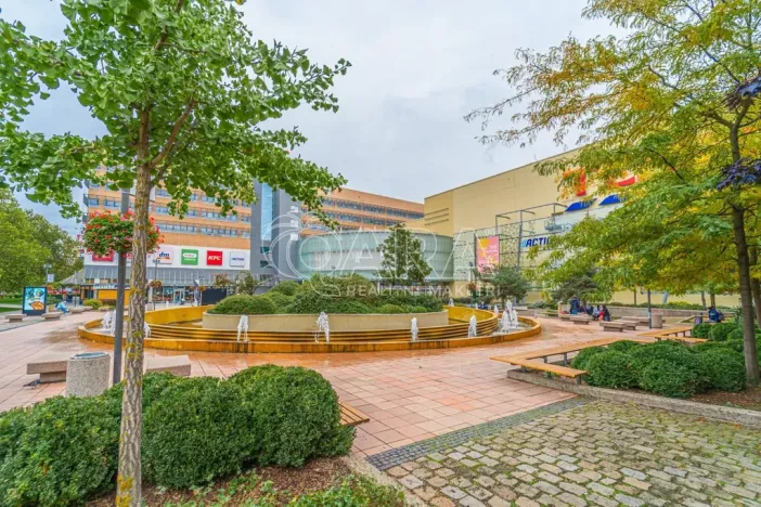 Prodej bytu 3+kk, Praha - Vršovice, Na louži, 71 m2