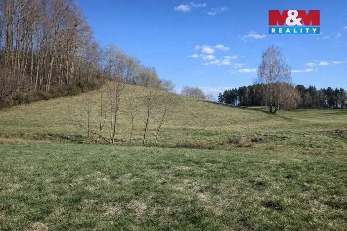 Prodej louky, Janův Důl, 2749 m2