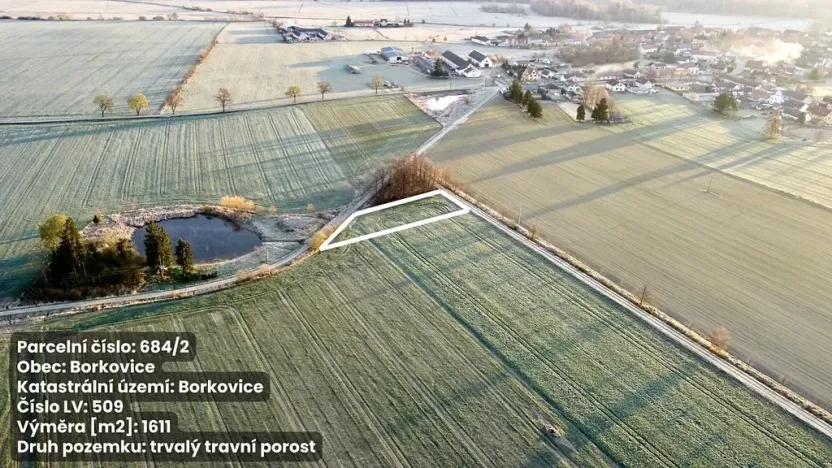 Prodej pole, Borkovice, 37657 m2