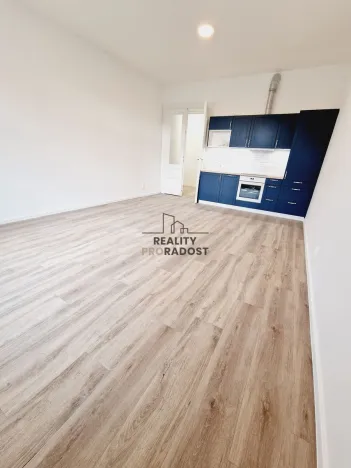 Pronájem bytu 2+kk, Brno, Antonínská, 69 m2