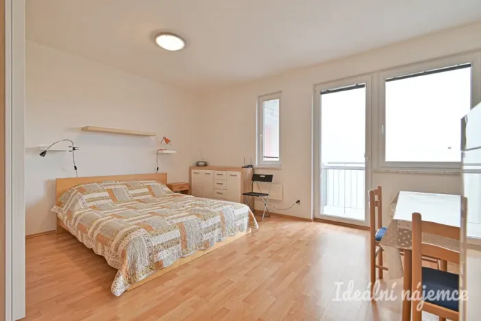 Pronájem bytu 1+kk, Brno, Francouzská, 30 m2