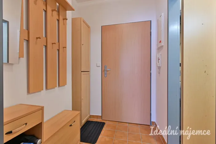 Pronájem bytu 1+kk, Brno, Francouzská, 30 m2