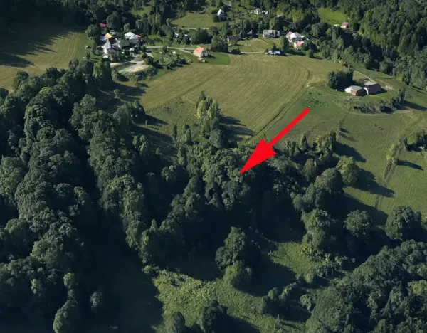 Prodej lesa, Železný Brod, 6562 m2