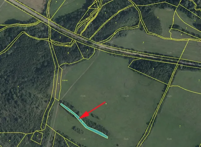 Prodej lesa, Mašťov, 1385 m2