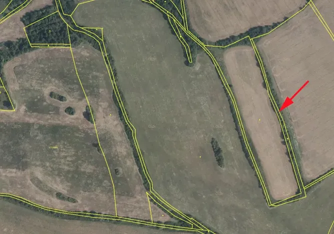 Prodej louky, Mašťov, 2645 m2