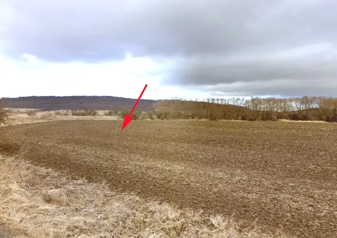 Prodej pole, Mašťov, 8153 m2