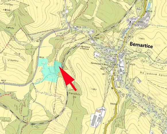 Prodej lesa, Bernartice, 9502 m2