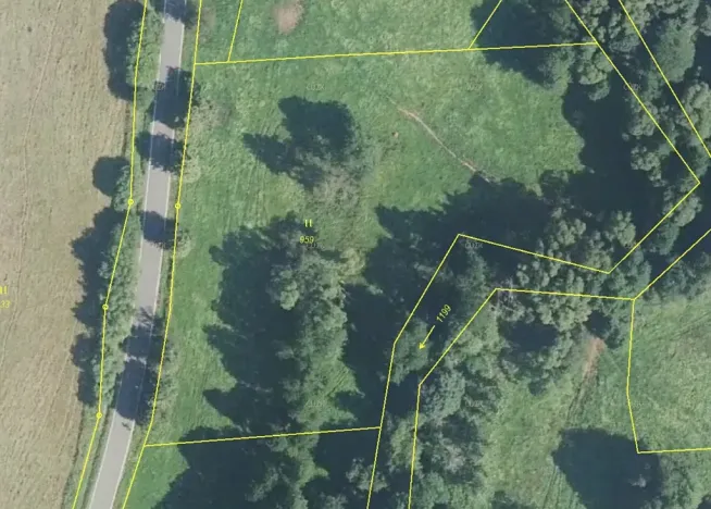 Prodej louky, Bernartice, 7104 m2