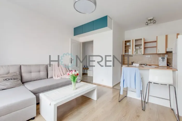 Pronájem bytu 2+kk, Praha - Vršovice, Přípotoční, 43 m2