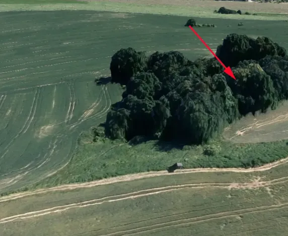 Prodej lesa, Dubnice, 2352 m2