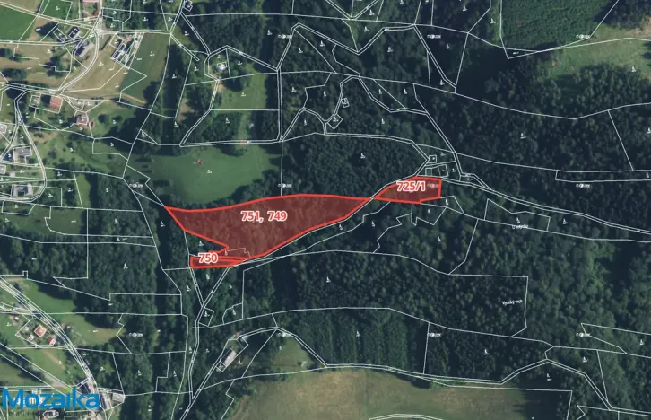 Prodej lesa, Strážná, 14738 m2