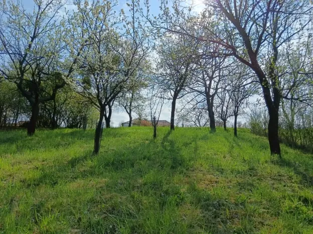 Prodej zahrady, Soběchleby, 1872 m2