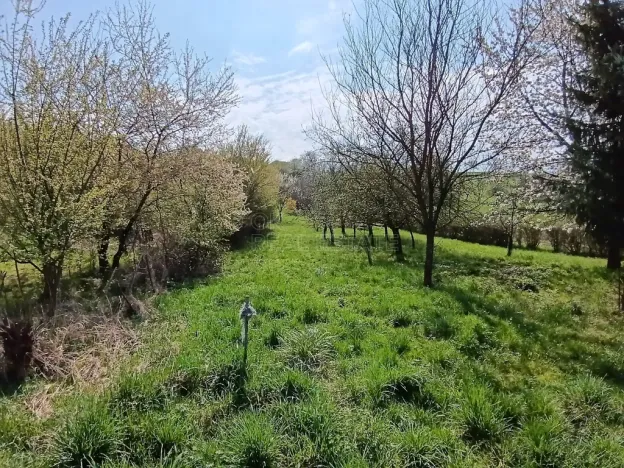 Prodej zahrady, Soběchleby, 1872 m2