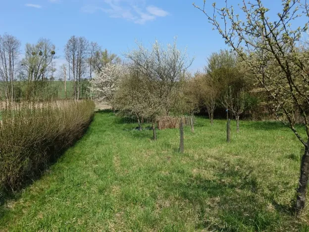 Prodej zahrady, Soběchleby, 1872 m2