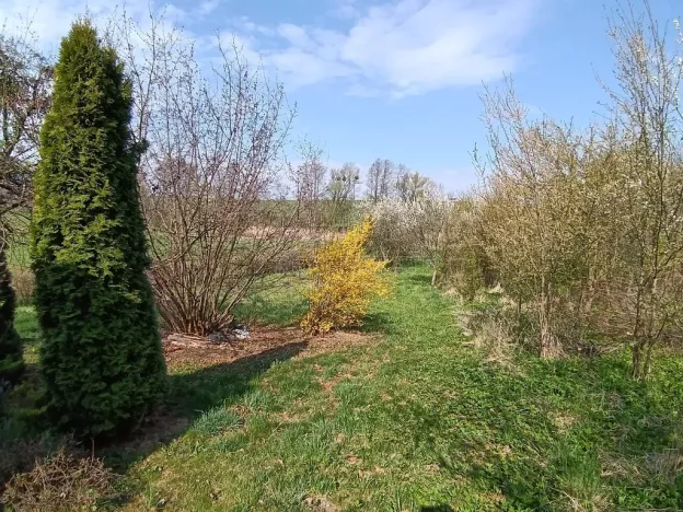 Prodej zahrady, Soběchleby, 1872 m2