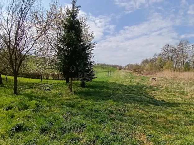 Prodej zahrady, Soběchleby, 1872 m2