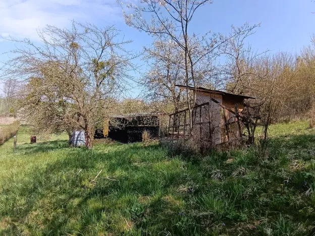 Prodej zahrady, Soběchleby, 1872 m2