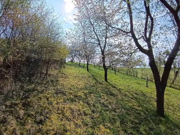 Prodej zahrady, Soběchleby, 1872 m2