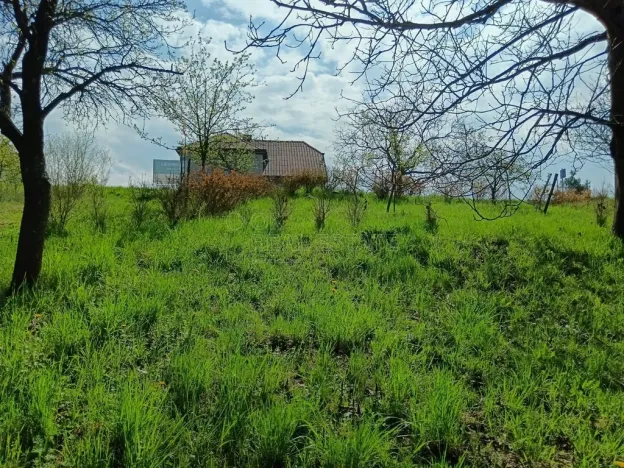 Prodej zahrady, Soběchleby, 1872 m2