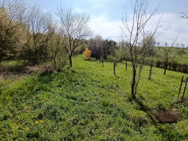 Prodej zahrady, Soběchleby, 1872 m2
