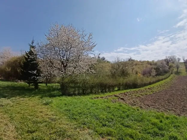 Prodej zahrady, Soběchleby, 1872 m2