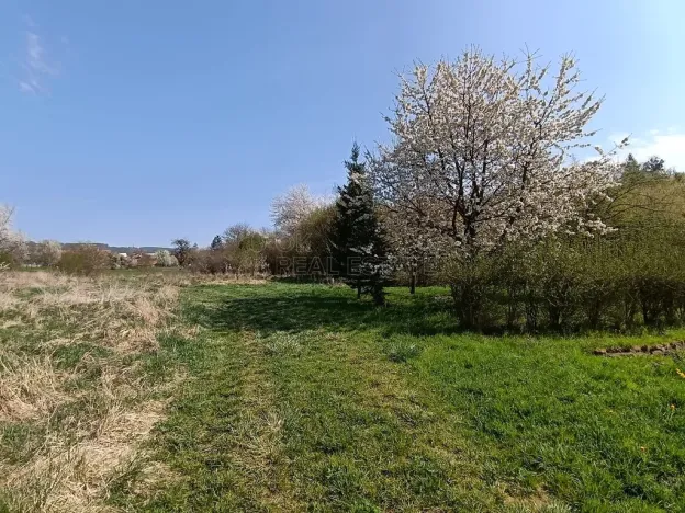 Prodej zahrady, Soběchleby, 1872 m2