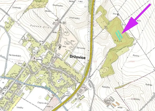 Prodej lesa, Držovice, 4332 m2