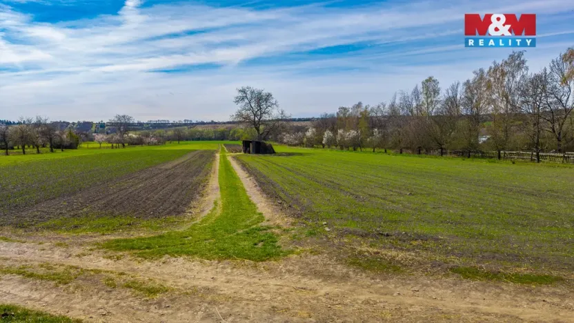 Prodej pole, Třebenice, 3309 m2