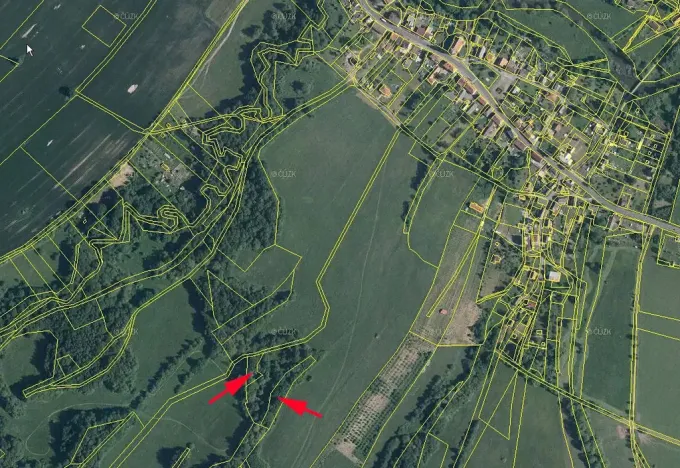 Prodej lesa, Stružnice, 3736 m2