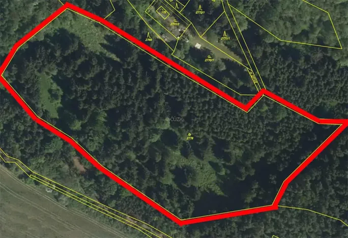 Prodej lesa, Brtnice, 21827 m2